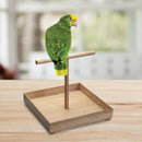 Bird Stand for Medium to Large Birds by MobilevisionUS