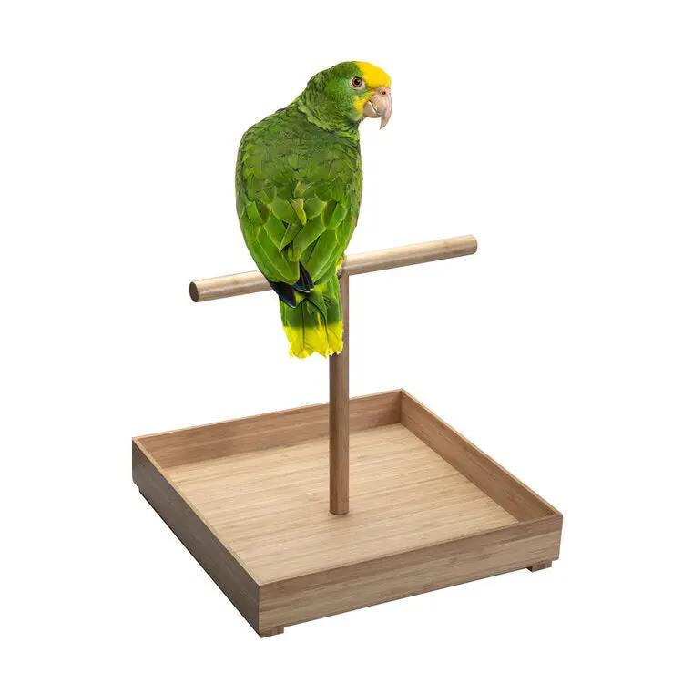 Bird Stand for Medium to Large Birds
