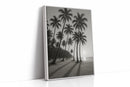 Palm Shadows at Sunrise