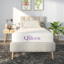 8" Memory Foam Mattress With Charcoal Infusion And Silky Mesh Cover by HouseOfZazla