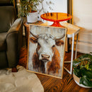 Sunset Longhorn on Weathered Wood