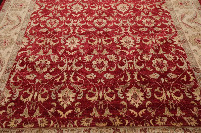 8' x 10'4'' Hand Knotted 100% Wool Peshawar Oriental Area Rug Pomegranate