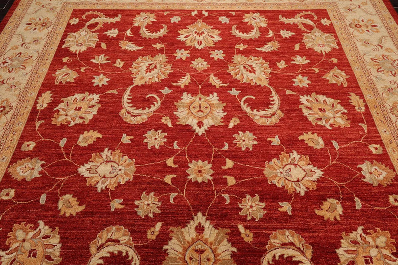 8'10'' x 11'8'' Hand Knotted 100% Wool Peshawar Oriental Area Rug Orangy Red