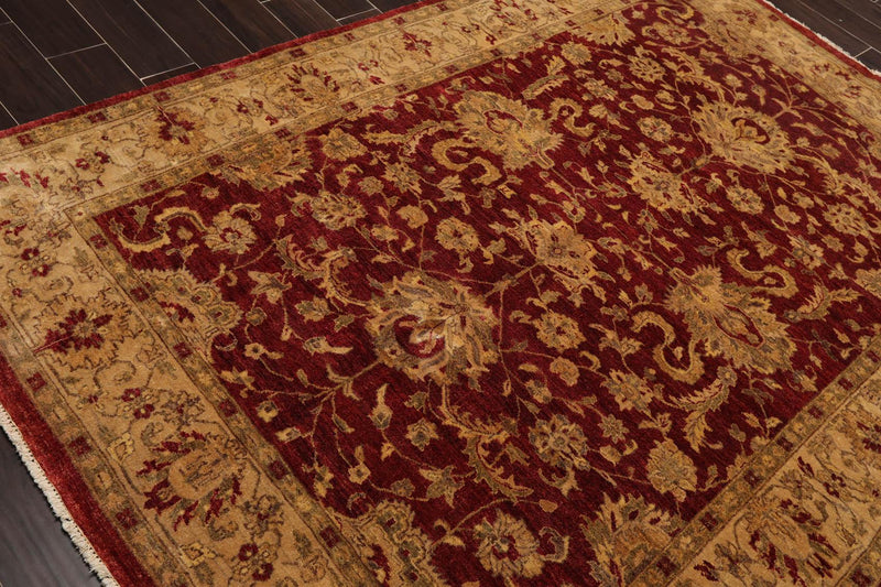 6' x 8'9" Hand Knotted Agra 100% New Zealand Wool Oriental Area Rug Ruby