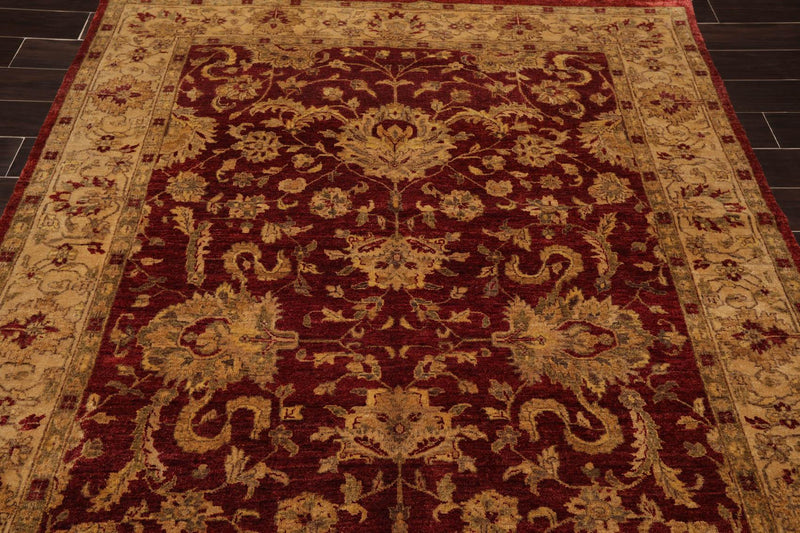6' x 8'9" Hand Knotted Agra 100% New Zealand Wool Oriental Area Rug Ruby