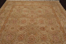 9'3'' x 12'3'' Hand Knotted 100% Wool Agra Traditional Oriental Area Rug Moss