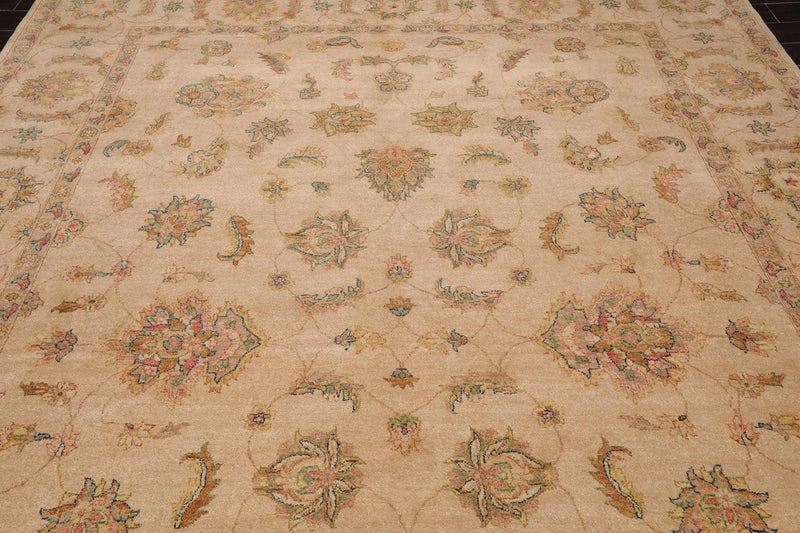 9' x 12' Hand Knotted Wool Agra 200 KPSI Traditional Oriental Area Rug Tan