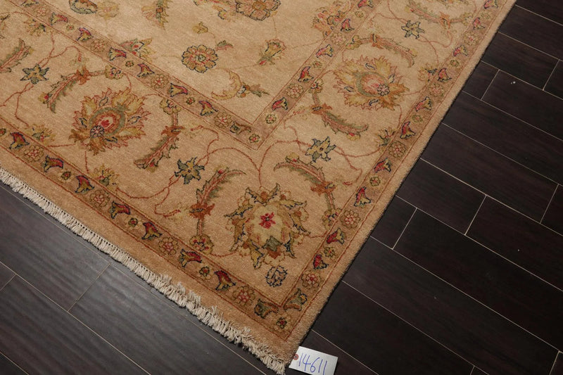 9' x 12' Hand Knotted Wool Agra 200 KPSI Traditional Oriental Area Rug Tan