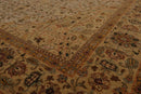 5' 11'' x 8' 10'' Hand Knotted 100% Wool Agra Traditional 250 KPSI Oriental Area Rug Tan, Gold Color