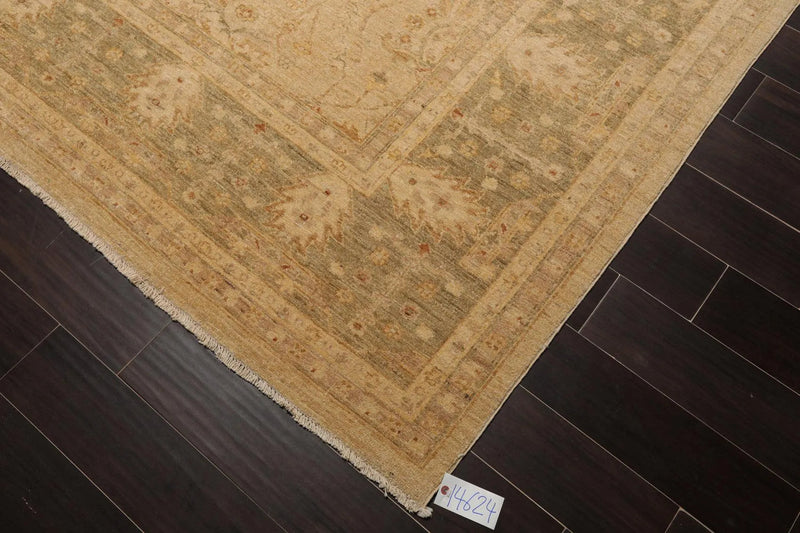 9' x 11'9'' Hand Knotted 100% Wool Peshawar Traditional Oriental Area Rug Beige