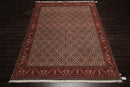 8'2" x 11'2" Hand Knotted 100% Wool Authentic Bidjar Oriental Area Rug Ivory