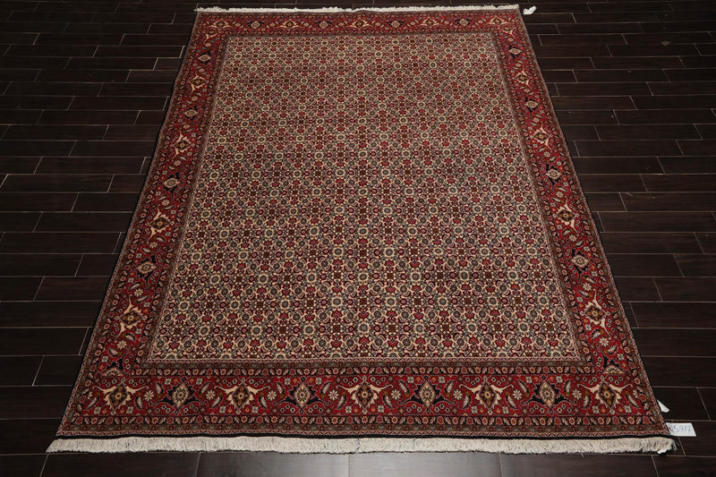 8'2" x 11'2" Hand Knotted 100% Wool Authentic Bidjar Oriental Area Rug Ivory