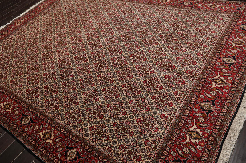 8'2" x 11'2" Hand Knotted 100% Wool Authentic Bidjar Oriental Area Rug Ivory