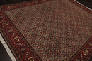 8'2" x 11'2" Hand Knotted 100% Wool Authentic Bidjar Oriental Area Rug Ivory