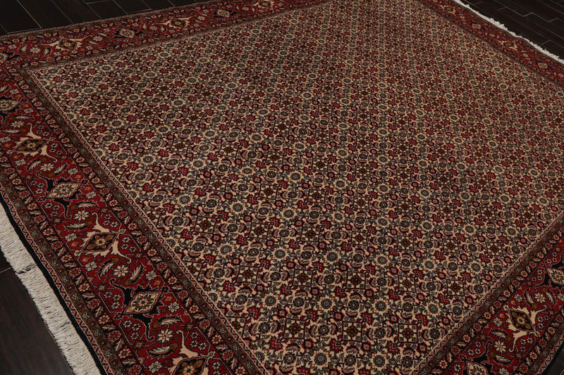 8'2" x 11'2" Hand Knotted 100% Wool Authentic Bidjar Oriental Area Rug Ivory