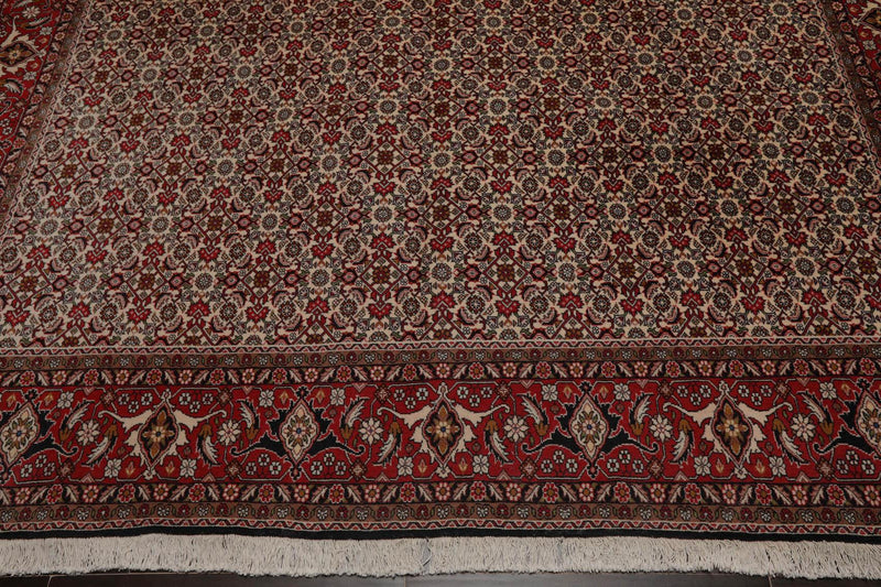 8'2" x 11'2" Hand Knotted 100% Wool Authentic Bidjar Oriental Area Rug Ivory