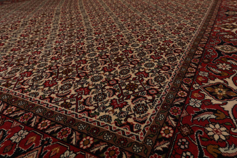 8'2" x 11'2" Hand Knotted 100% Wool Authentic Bidjar Oriental Area Rug Ivory