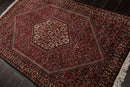 3'10"x5'10 Authentic  Hand Knotted 100% Wool Bidjar Traditional Area Rug Ivory