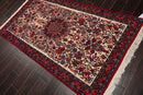 3'10" x 6'10" Authentic Hand Knotted 100% Wool Bidjar 300 KPSI Area Rug Ivory