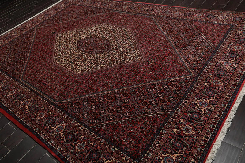 8x10 Red Hand Knotted Wool Authentic Bidjar medallion 300 KPSI Persian Oriental Area Rug