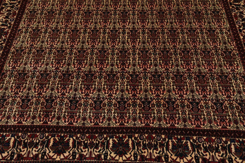 6x9 Ivory, Rust Hand Knotted 100% Wool Vase 200 KPSI Authentic Persian Oriental Area Rug