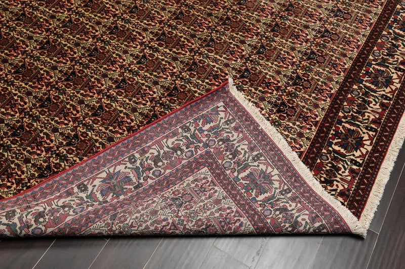 6x9 Ivory, Rust Hand Knotted 100% Wool Vase 200 KPSI Authentic Persian Oriental Area Rug