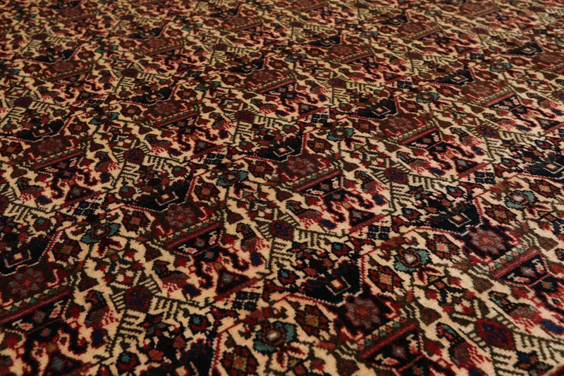 6x9 Ivory, Rust Hand Knotted 100% Wool Vase 200 KPSI Authentic Persian Oriental Area Rug