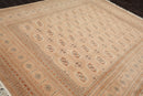 8'3" x 10'5" Hand Knotted 100% Wool Pakistan Bokhara 200 KPSI Oriental Area Rug Apricot