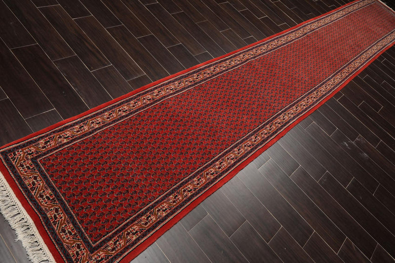2'6" x 16'6” Hand Knotted 100% Wool Seraband Oriental Area Rug Coral