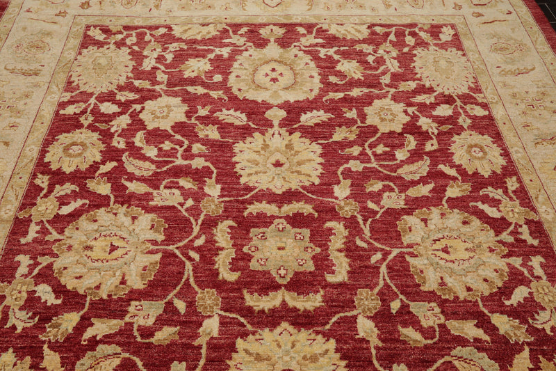7'8" x 9'11" Hand Knotted Border Stone Wash Peshawar Vegetable Dye Area Rug Rusty Red