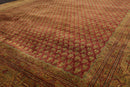 5'7" x 8'3" Hand Knotted 100% Wool Boteh Paisley Oriental Area Rug Rust