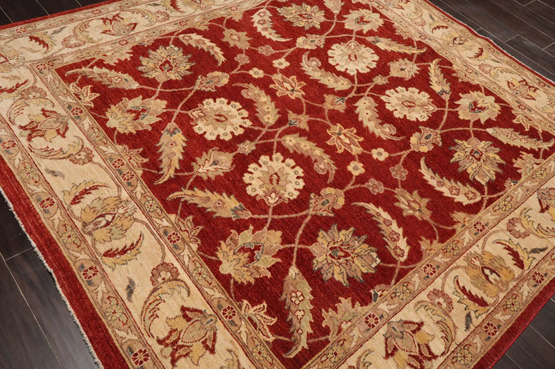 6x9 Rust, Beige Hand Knotted Persian 100% Wool Chobi Peshawar Traditional  Oriental Area Rug