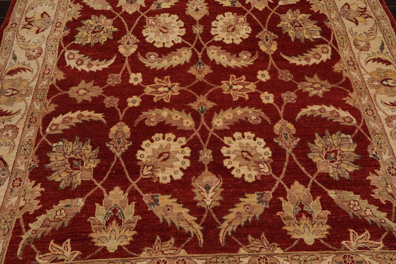 6x9 Rust, Beige Hand Knotted Persian 100% Wool Chobi Peshawar Traditional  Oriental Area Rug