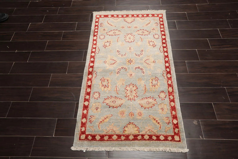 2'10''x4'10'' Blue, Rust Hand Knotted 100% Wool Chobi Peshawar Traditional Oriental Area Rug