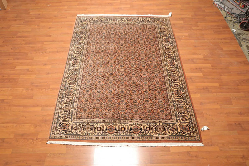 6x9 Pale Peach, Beige Hand Knotted 100% Wool Persian Oriental Area Rug