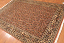 6x9 Pale Peach, Beige Hand Knotted 100% Wool Persian Oriental Area Rug