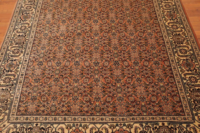 6x9 Pale Peach, Beige Hand Knotted 100% Wool Persian Oriental Area Rug