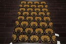 4x6 Black Hand Knotted Tibetan 100% Wool Art Deco Oriental Area Rug
