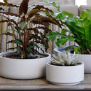 8.75 inch Gray Cream Fiberstone Ceramic Pot