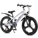 20 Inch Kids Mountain Bike
