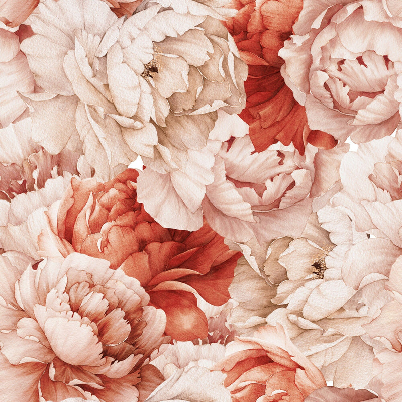 Red Peony Flower Wallpaper