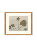 Botanical Thoughts III