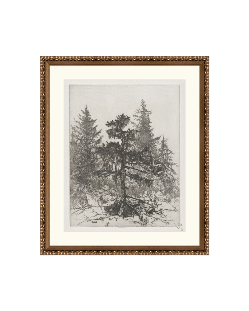 Pine Etching