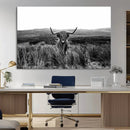 Black and White Highland Cow Canvas Wall Art, Longhorn by MyGreatCanvas | Canvas Wall Art Prints | Photo Prints & Wall Decor