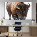 Bison Wall Art Canvas Print For Farmhouse, Wild Animal Wall by MyGreatCanvas | Canvas Wall Art Prints | Photo Prints & Wall Decor