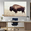 Bison in Field Wall Art Canvas Print For Farmhouse Barn