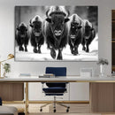 American Bison Art | Buffalo Herd Wall Art Canvas Print, BW
