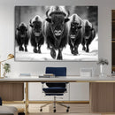 American Bison Art | Buffalo Herd Wall Art Canvas Print, BW