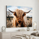 Scottish Cow Longhorn Wall Art Canvas Print