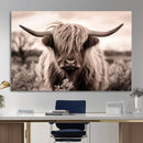 Scottish Cow Longhorn Wall Art Canvas Print